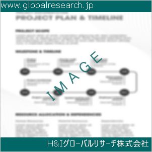 グローバルリサーチ調査資料のイメージ